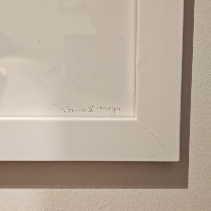 'My Little Comet' by Donna Meyer