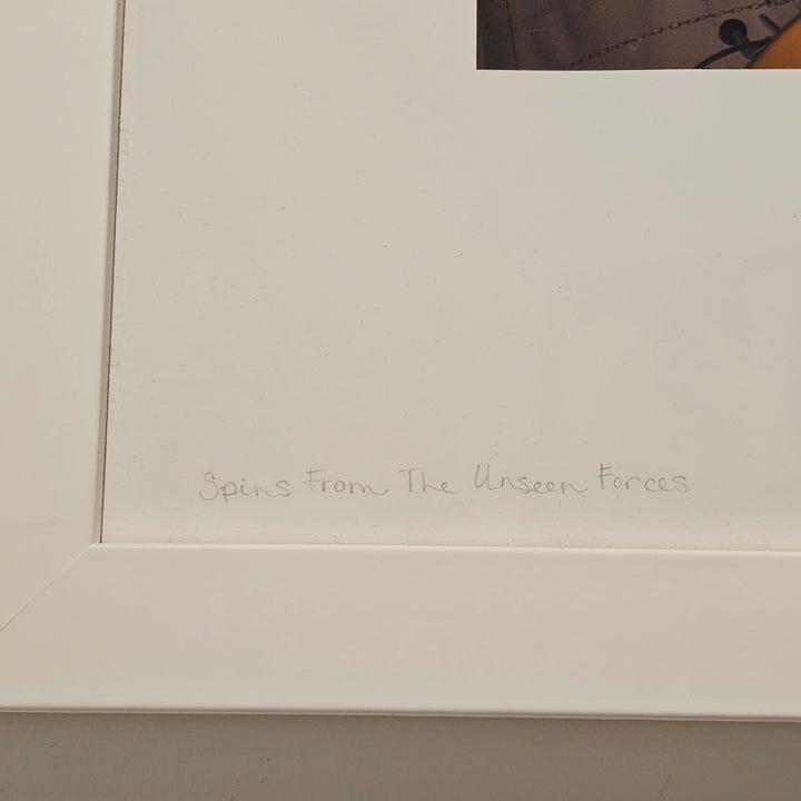 'Fractals in Another Universe' by Donna Meyer