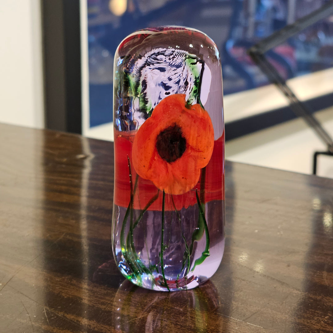 Caithness Glass Paperweight