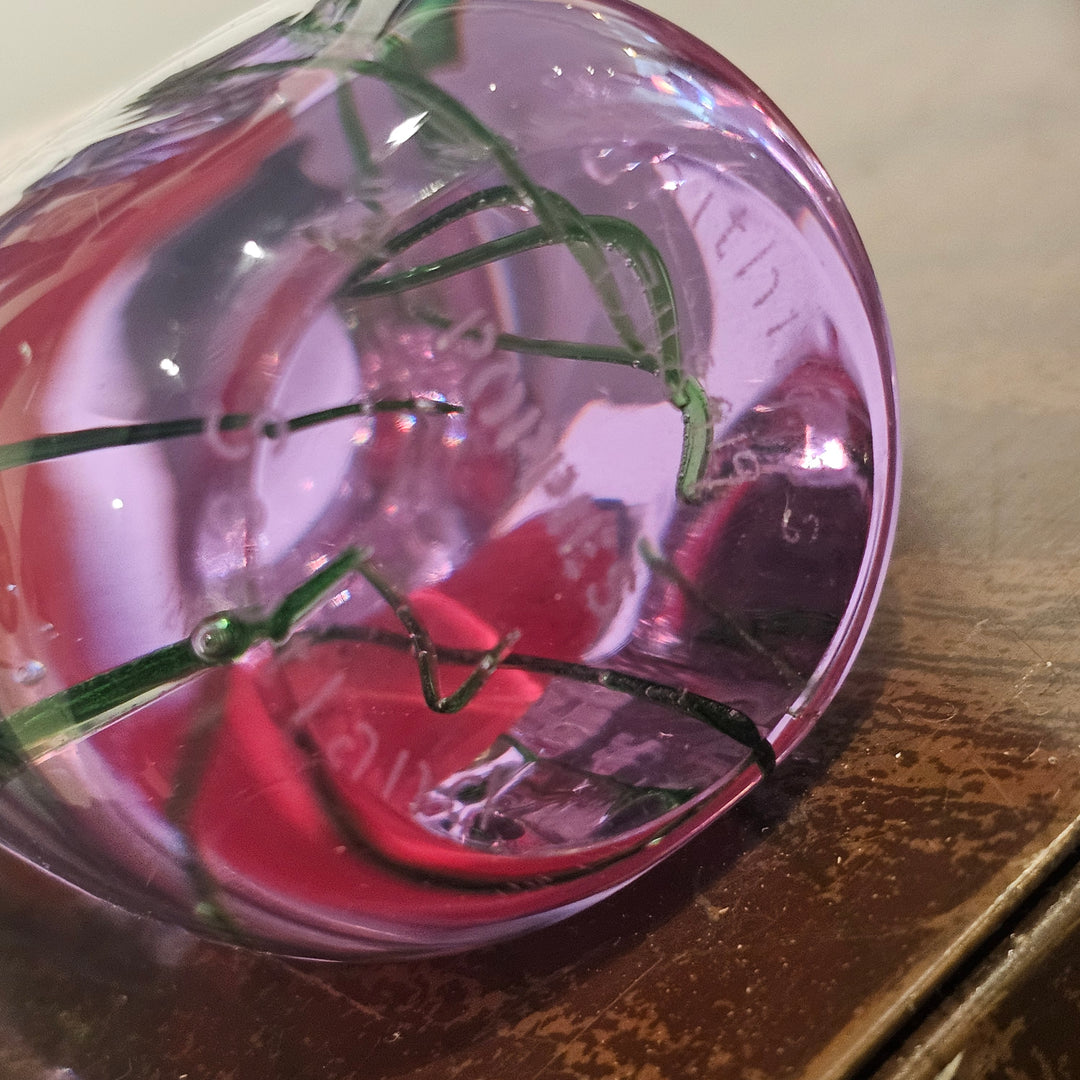 Caithness Glass Paperweight