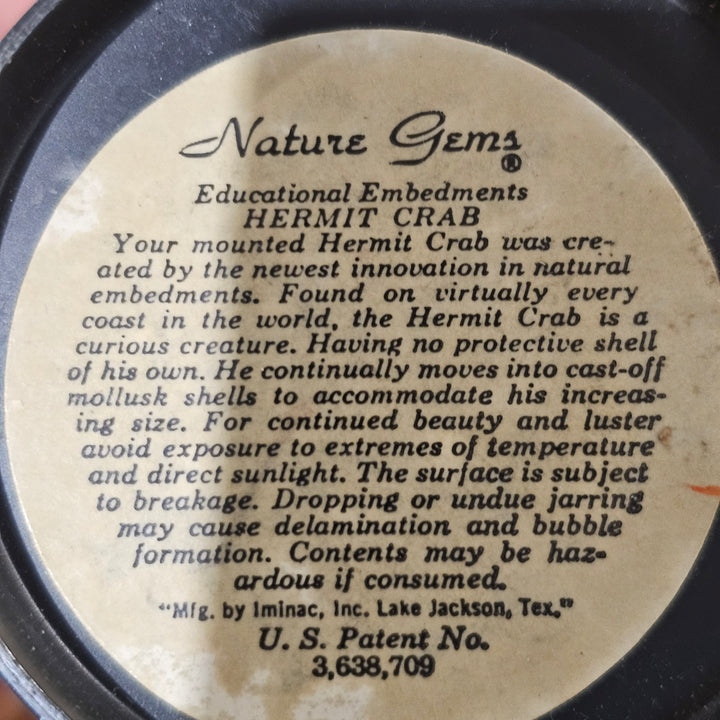 Nature Gems - Hermit Crab