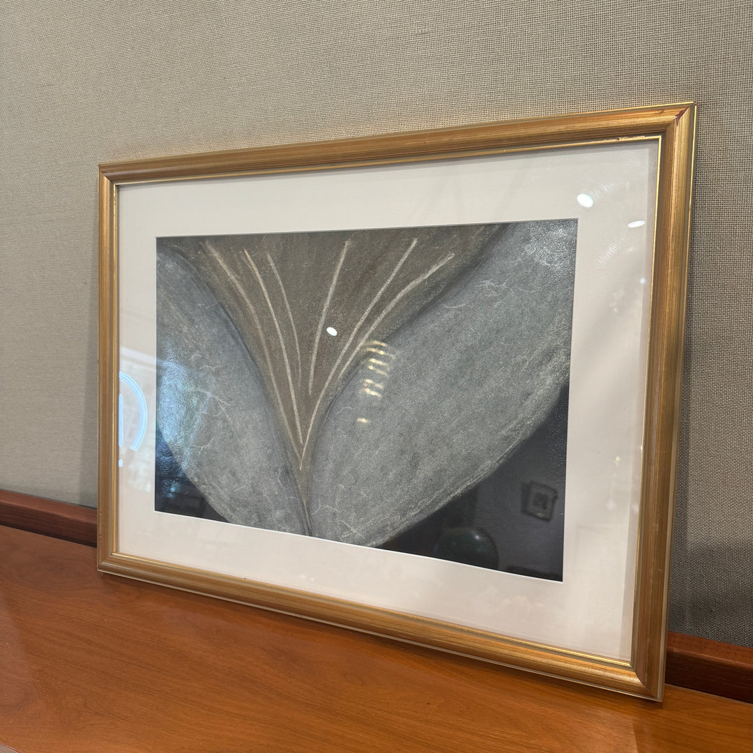 Abstract In Neutrals