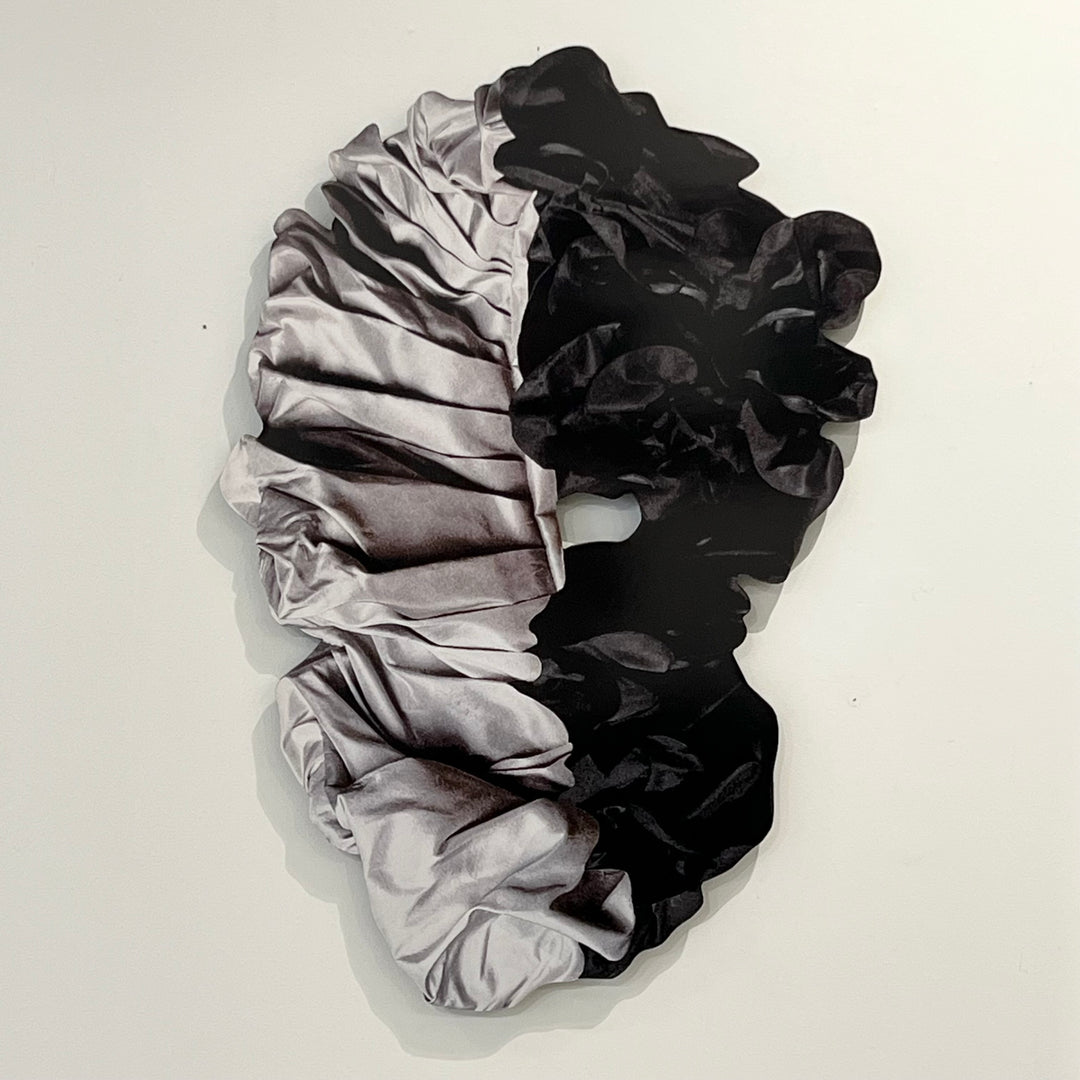 “Ambiguant No. 15” Wall Art by Jesse Matthew Petersen