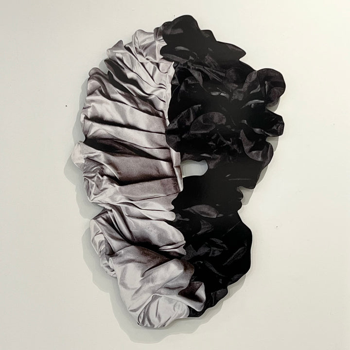 “Ambiguant No. 15” Wall Art by Jesse Matthew Petersen