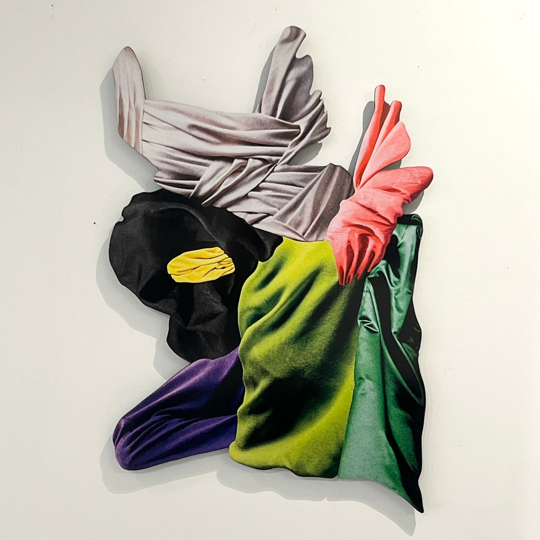 “Ambiguant No. 12” Wall Art by Jesse Matthew Petersen